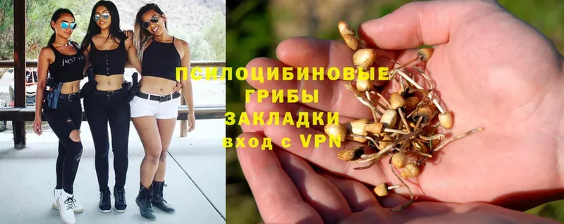 Галлюциногенные грибы GOLDEN TEACHER  Верхняя Тура 