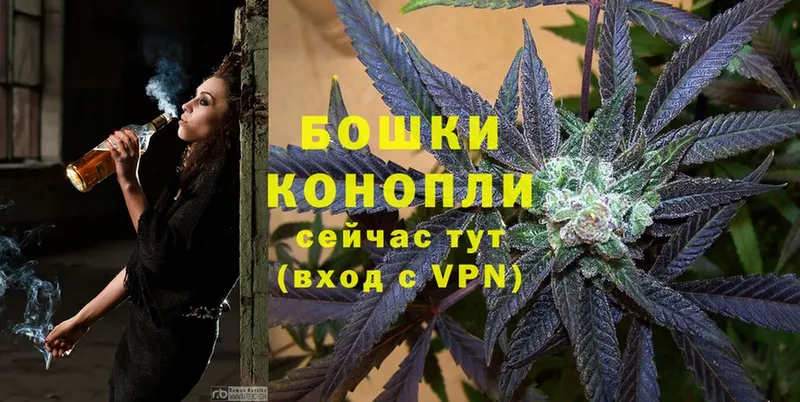 цена наркотик  Верхняя Тура  Бошки Шишки Ganja 